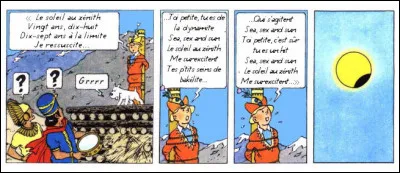 Tintin nous offre-là un spectacle rare : serait-ce le soleil ou sa vraie nature ferait-elle enfin surface ? Toujours est-il qu'il nous envoie du ... [qui donc ?] dans le se... pardon ! le texte...