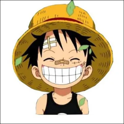 Quel est ton principal défaut ?