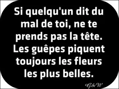 Serais-tu capable d'accepter les critiques négatives, subir la pression physique et mentale ?
