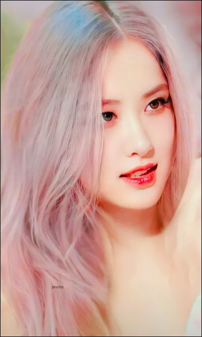 Comment sappellent les fans des Blackpink ?