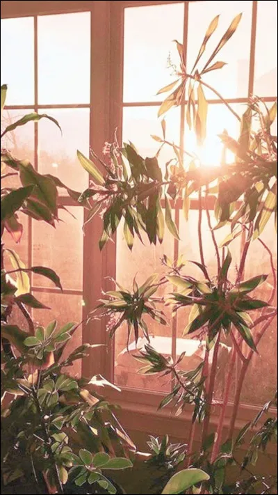 S'il te restait un jour &agrave; vivre tu :