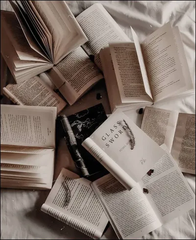 Ton expression (ou mot) pr&eacute;f&eacute;r&eacute;.e :