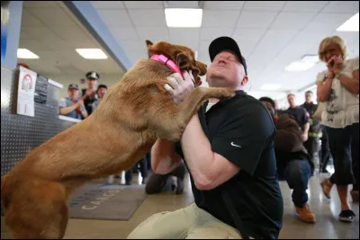 Un chien retrouve son maître après 5 ans de séparation...