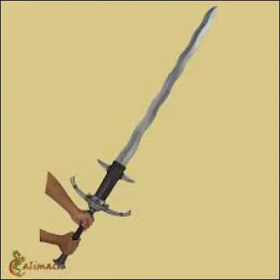 L'&eacute;p&eacute;e est une arme :