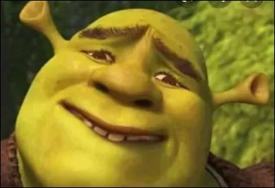 Qui est ton personnage pr&eacute;f&eacute;r&eacute; dans ''Shrek'' ?