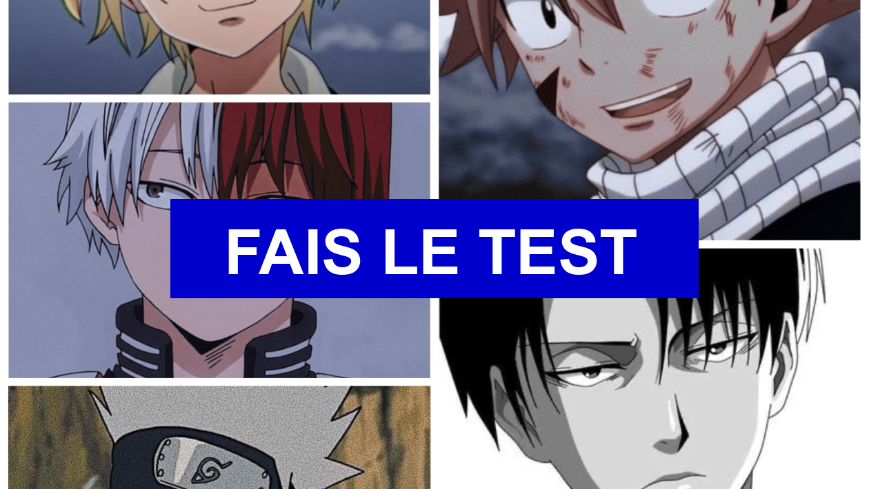 Qui Est Ton Petit Ami Dans Hxh Test de personnalité Qui est ton petit ami (version animé) ?