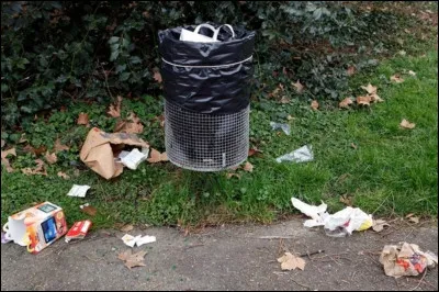 Dans la plupart des villes et régions, jeter ses détritus sur la voie publique peut vous coûter cher car cela est puni...