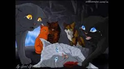 En combattant ce félin, un des élus y laissera la vie snif. Qui est ce chat ?