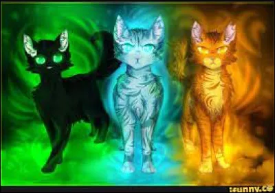 Pelage d'Or et ses chatons devenus apprentis partent se réfugier dans leur clan natal n'acceptant pas qu'un inconnu vienne bousculer leur croyance. Pour ranimer la foi de leurs camarades, il décident avec des membres du Clan du Tonnerre de fabriquer un faux. Qui sont ces chats ?