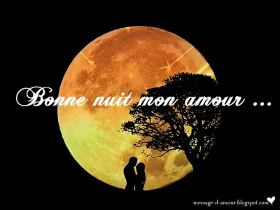 Qui chante " Bonsoir mon amour" ?