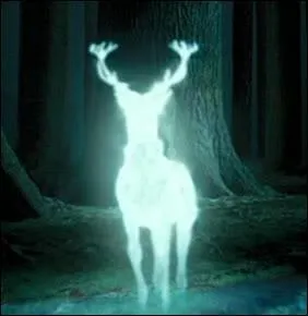 Qui a falli se faire renvoyer de Poudlard pour avoir fait apparaitre un patronus ?