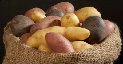 La pomme de terre fait partie de la famille des...