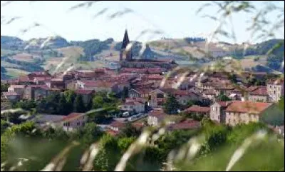 Ville au cur des Monts du Lyonnais, Saint-Martin-en-Haut se situe en région ...