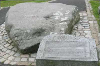 La couleur de la Saint-Patrick était initialement le bleu et non le vert. Qu'en pensez-vous ?