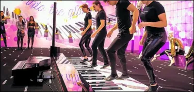 Cette chanteuse a interprété "Il jouait du piano debout" :