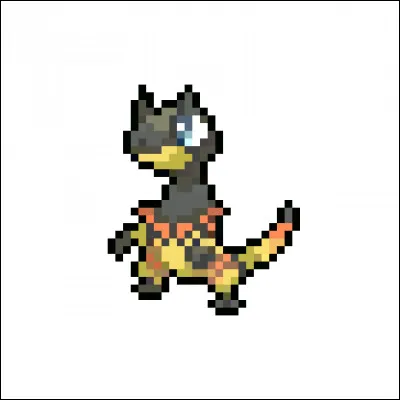 Quel est le nom de ce Pokémon ?