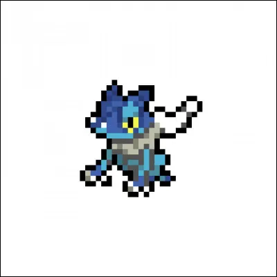 Quel est le nom de ce Pokémon ?