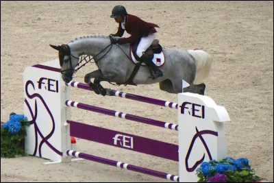 Comment s'appelle cet obstacle ? (voir photo)