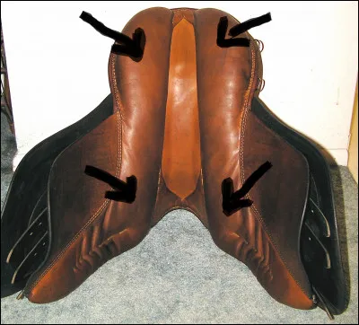 Comment s'appelle la partie moelleuse sous la selle (voir photo)