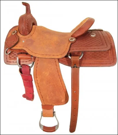 Comment s'appelle cette selle ? (voir photo)