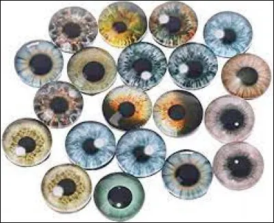 De quelle couleur sont tes yeux ?