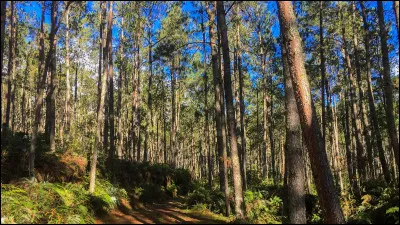 Quelle est ton activité préférée ?