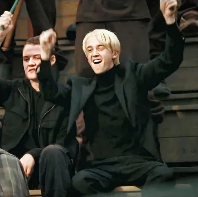 Pour toi Drago est ...