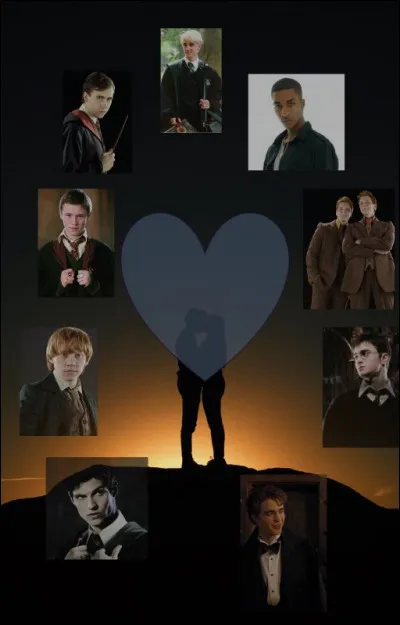 Avec quel garçon voudrais-tu sortir ?