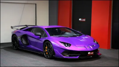 Attention ! On rentre dans l'arène, mais de quelle race est ce taureau ?