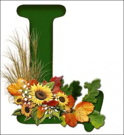 Lente : que devient la lente avant de devenir "pou" ?