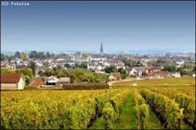 Nous terminons notre balade sur la Route des Grand Crus, à Vosne-Romanée. Commune viticole de Bourgogne-Franche-Comté, elle se situe dans le département ...