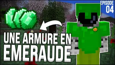 Combien de sortes darmures y a-t-il ?