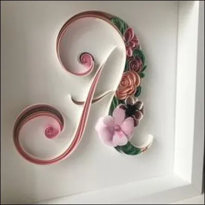 Agaric : quel est ce champignon ?