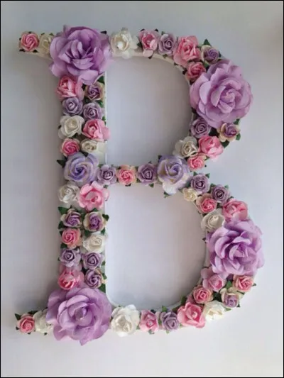 Boule et Bill : qui est la tortue ?