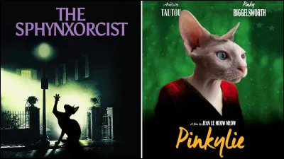 Trouvez le prénom d'un personnage du véritable film de gauche !