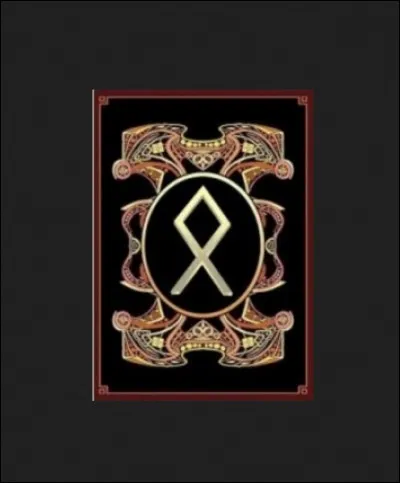 À quelle(s) lettre(s) correspond cette rune ?