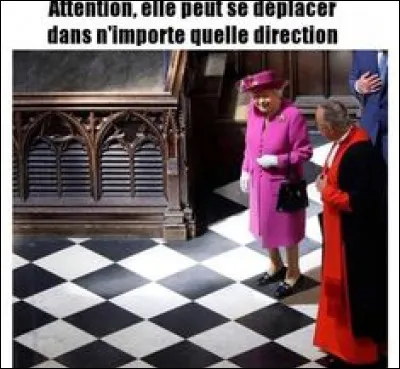 Dans le jeu d'échecs, quel pion peut se déplacer dans toutes les directions ?