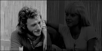 "Avec ma nouvelle lessive X3-Super-Anti-Redéposition, mon lainage ne ... pas !"