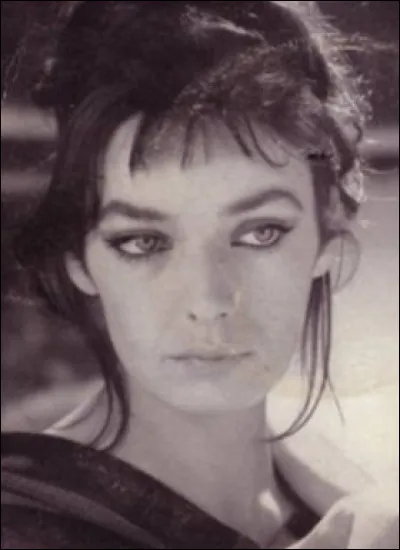 Comme toujours, c'est l'arbre qui cache ...