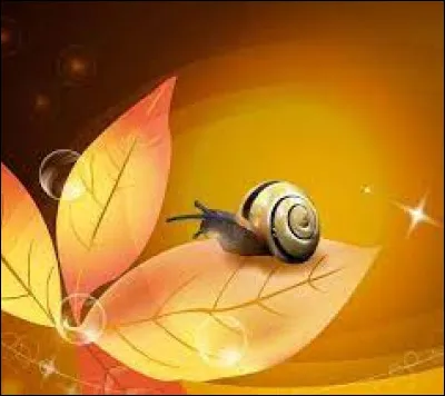 Quel est le prénom de l'écrivain Loti ?