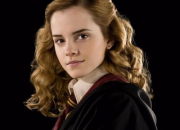 Test  combien de pourcents es-tu Hermione Granger ?