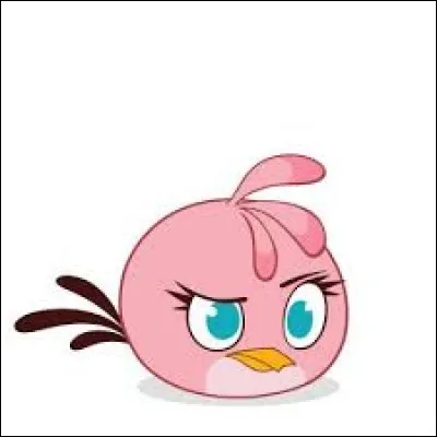 Dans le jeu vidéo "Angry Birds", comment s'appelle cet oiseau rose ?