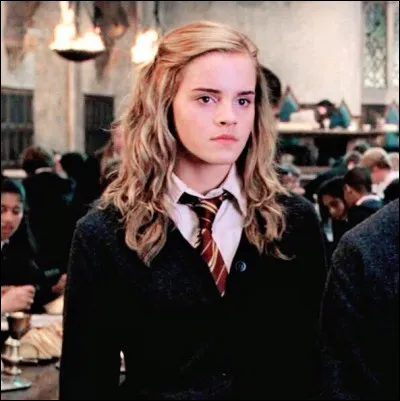 Qui Hermione n'apprécie-t-elle pas trop ?