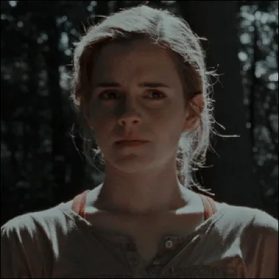 Dans quelle forêt Hermione emmène-t-elle Harry et Ron ?