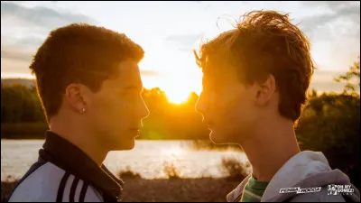 Qui serait ton meilleur ami ?