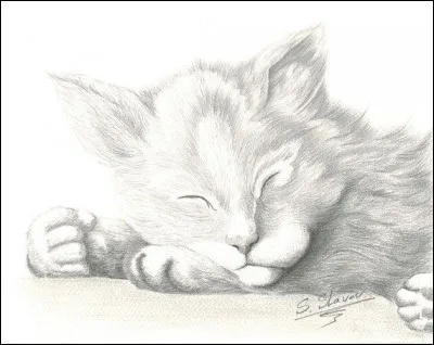 Quel prénom donnerais-tu à ton animal ?