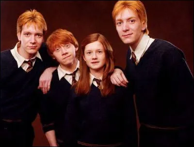 Quelle serait ta relation avec tes frères et sœurs ?