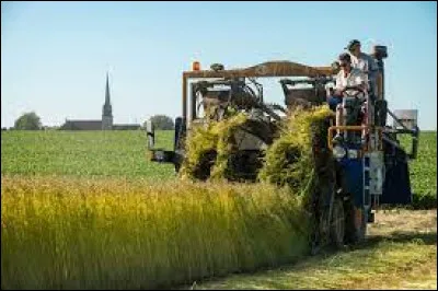 À quel mot cette définition correspond-elle le mieux : "Action qui a pour but de faire produire à la terre des végétaux utiles aux humains et aux animaux" ?