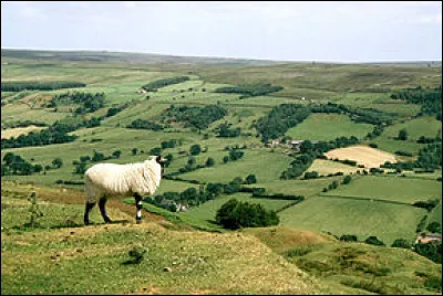 Qu'est-ce que la géographie agraire ?