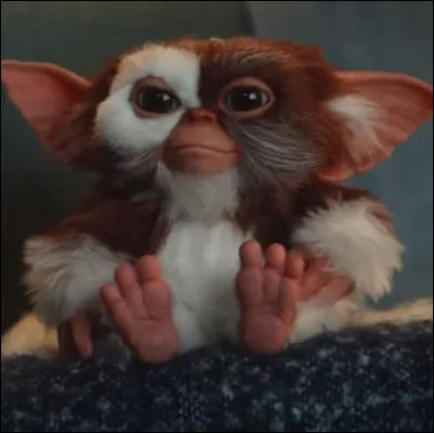 Comment Gizmo, le gentil mogwaï, peut-il faire apparaître des clones odieux ?